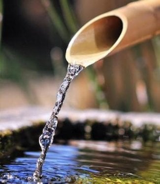 image-2779678-water_bamboo.jpg
